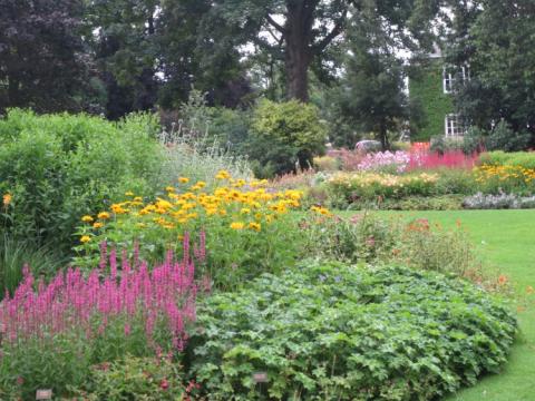 Bressingham Garden U.K. juli 