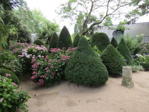 Jardins Agapanthe France juli 2018