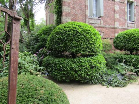 Jardins Agapanthe France juli 2018