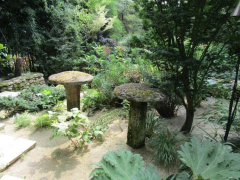 Jardins Agapanthe France juli 2018