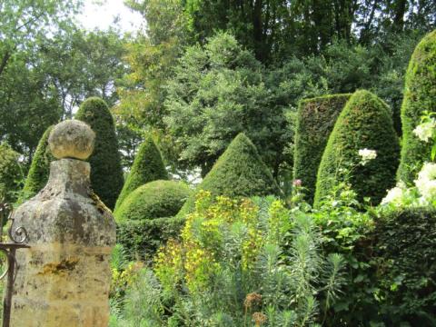 Jardins Agapanthe France juli 2018